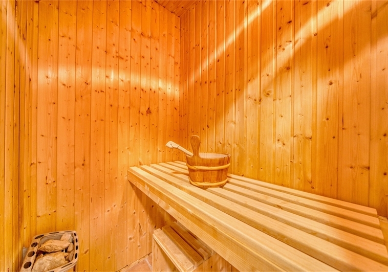 'Sauna